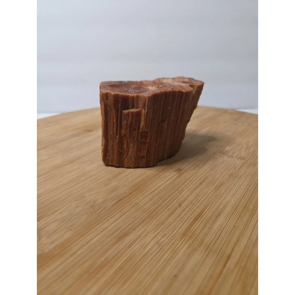 Natural Raw Petrified Wood Specimen Fossil 1.5 lbs 4